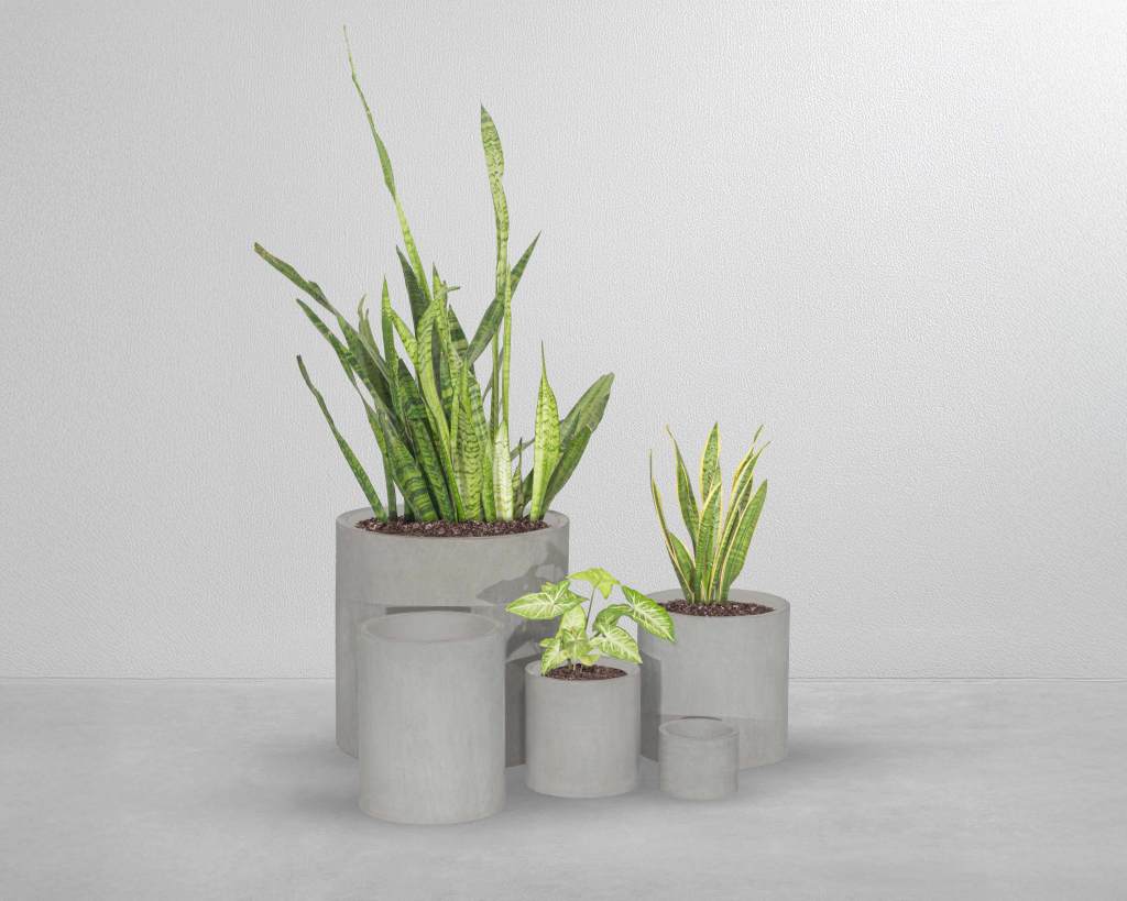 CONCRETE PLANTERS CUROCAST CHANDIGARH
